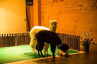 大家来找茬《右脑达人：找错纠察队》12月发售